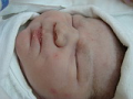 alba/070224_narozeni/honzik4_TN.jpg