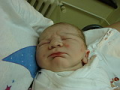 alba/070224_narozeni/honzik5_TN.jpg