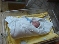 alba/070224_narozeni/honzik6_TN.jpg