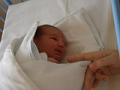 alba/070305_tyden/0prvnitridny1_TN.jpg