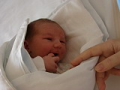 alba/070305_tyden/0prvnitridny2_TN.jpg