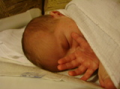 alba/070324_mesic/3tydny08_TN.jpg