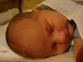 alba/070324_mesic/3tydny09_TN.jpg