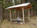 alba/070324_mesic/mesic1_TN.jpg