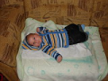 alba/070400_duben/duben01_TN.jpg