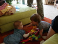 alba/080500_duben_kveten/kveten08_1_TN.jpg