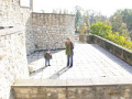 alba/081019_Lovosice/lovosice08_11_TN.jpg
