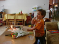 alba/090224_druhnaroz/druhnaroz5_TN.jpg