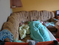 alba/090607_sever/sever2_TN.jpg