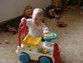alba/091100_listopad/listopad04_TN.jpg