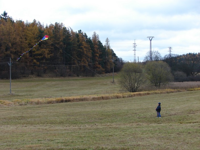 rok2010obr11.jpg