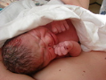 alba/110223_veruska/narveruska2_TN.jpg