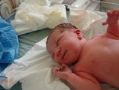 alba/110223_veruska/narveruska4_TN.jpg