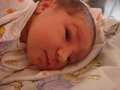 alba/110227_doma/doma2_TN.jpg